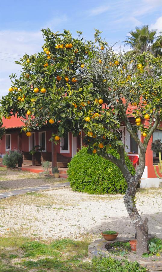 בית הארחה זמבוז'יירה דו מאר 	Monte Da Xica - Somente Adultos מראה חיצוני תמונה